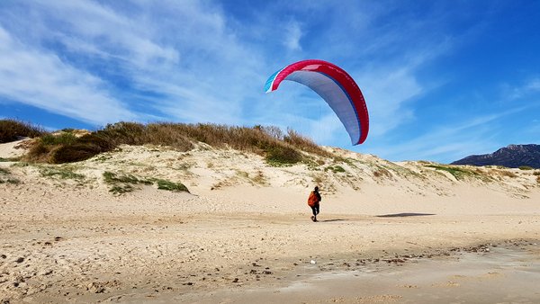 blue sky beach paraglider
